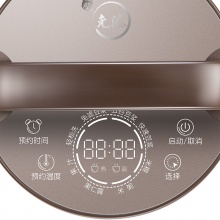 九阳（Joyoung）豆浆机破壁免滤预约全自动家用智能DJ13E-Q10