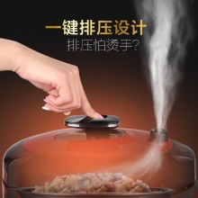 美的（Midea） 电压力锅 一锅双胆 七段调压 收汁入味WQC50/60A5 5L高压锅 5L WQC50A5