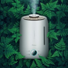 德尔玛（Deerma）加湿器 5L大容量 恒湿感温 家用卧室静音迷你办公室香薰加湿 DEM-F500（升级版）