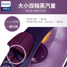 飞利浦（PHILIPS） 蒸汽电熨斗 烫斗 家用蒸汽熨衣机 便捷立式手持迷你电烫斗 45克/分钟持续蒸汽 GC3584/38