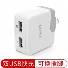 罗马仕（ROMOSS）AC12S双USB 适配器...