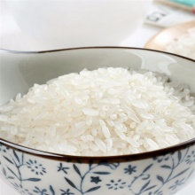 十月稻田 五常有机米10kg 稻花香米 东北大米10kg