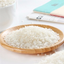 十月稻田 五常有机米10kg 稻花香米 东北大米10kg
