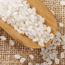 七河源 秋田小町米 大米5kg 东北大米 当季新米 寿司米