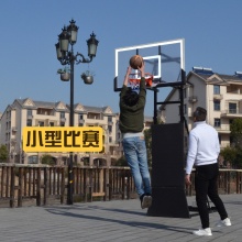 篮球架家用标准篮球框成人户外可扣篮可升降移动训练...