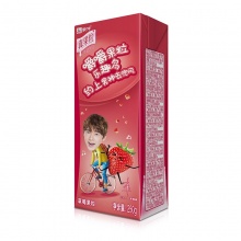 蒙牛 真果粒牛奶饮品（草莓）250g*12 礼盒装