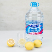 雀巢（Nestle）饮用水 优活 5LX4瓶 整箱