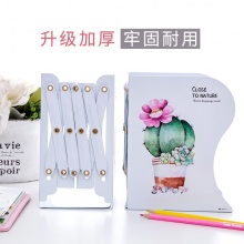 南国书香 可伸缩书立大号铁架书立折叠书架 活动书夹卡通收纳架 办公用品学生学习文具 炫彩羽毛-孔雀