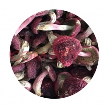 野生菌红菇干货云南土特产蘑菇山珍野生菌思茅大红菌