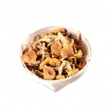小黄菇500g 野生黄菇 菌类干货