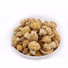 小黄菇500g 野生黄菇 菌类干货