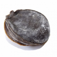 南海大网鲍大鲍鱼干货大鮑魚酒店专用250g