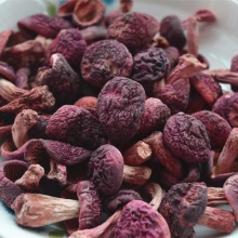 天然野生红菇菇丁干货500g