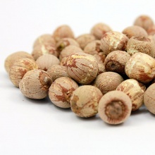 粒粒珍（LILIZHEN） 粒粒珍湘潭红莲子去芯500gX20袋（一箱）莲子干货湖南特产