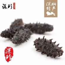 深圳特产野生5A级海参干货礼盒40-60头/500g 淡干刺参5-6年海参120g 12只 100g海参