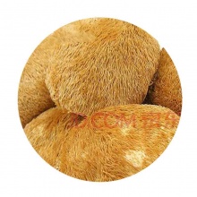 十八菇 山珍干菌礼盒 食用菌菇 1.37kg 南...