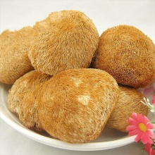 十八菇 山珍干菌礼盒 食用菌菇 1.37kg 南北干货