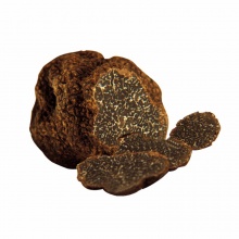 黑松露菌1000g 新鲜野生食用菌 南北干货野生菌菇