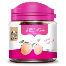精选加应子160g罐装蜜饯果脯嘉应子果干零食