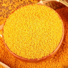 天地粮人 精品 黄小米1kg（无药物熏蒸 小黄米 月子米 真空装 大米伴侣）