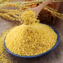 天地粮人 精品 黄小米 100g（无添加 小黄米 月子米 小米粥 五谷 杂粮 真空装 大米伴侣）