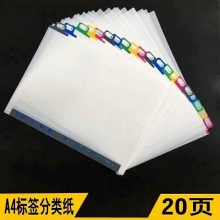 彩色标签分类纸A4_20页