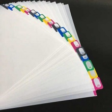 彩色标签分类纸A4_20页