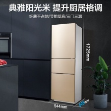美的（Midea）_BCD-213TM(E) 三门三温冰箱 213L