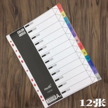 彩色标签分类纸_A4 12页