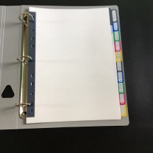 彩色塑料标签索引页_10页