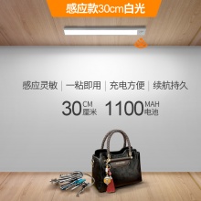 长条灯带 感应+常亮+磁吸+自然光 30cm充电...