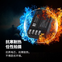 沣标（FB） FB-DLI109  电池 单块 