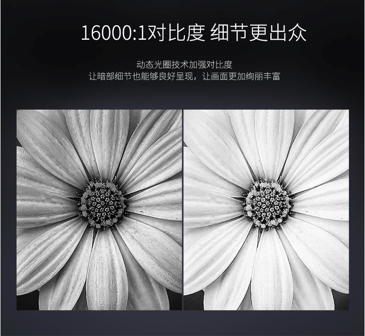 1553213968549621.png