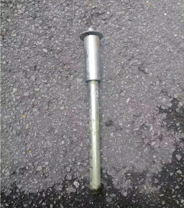 蘑菇  2023-08-22_103719.jpg
